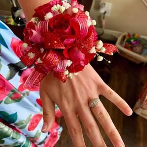 Meet your Posher, Lois